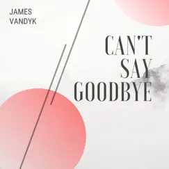 Can't Say Goodbye Song Lyrics