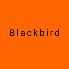 Blackbird - Single by Marty the Bass Player album reviews, ratings, credits