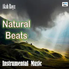 Natural Beats - Single by Aksh Royz album reviews, ratings, credits