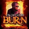 Burn - Single album lyrics, reviews, download