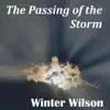 The Passing of the Storm album lyrics, reviews, download