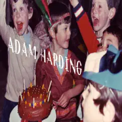 Between You and Me There Is a Great Gulf Fixed - Single by Adam Harding album reviews, ratings, credits