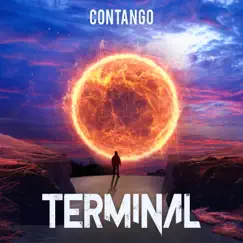 Terminal - Single by Contango album reviews, ratings, credits