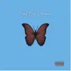 Sad Boy Dreamin - Single album lyrics, reviews, download