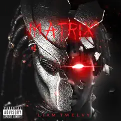 Matrix - Single by Liam Twelvy album reviews, ratings, credits