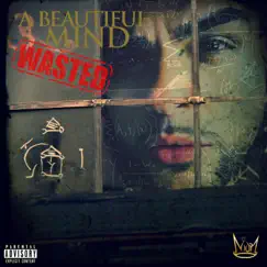 A Beautiful Mind Wasted by Niorswiggin album reviews, ratings, credits