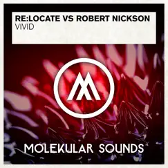 Vivid - EP by Re:Locate & Robert Nickson album reviews, ratings, credits