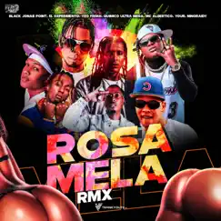 Rosa Mela (feat. Yeo Freko, El Experimento (Macgyver), You R & Niño Raidy) [Remix] Song Lyrics