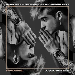 Too Good to Be True (feat. Machine Gun Kelly) [Brohug Remix] - Single by Danny Avila & The Vamps album reviews, ratings, credits