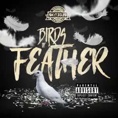 Birds of a Feather - Single by Skitzo.Iis album reviews, ratings, credits