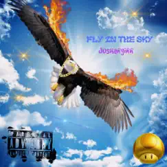 Fly In the Sky Song Lyrics
