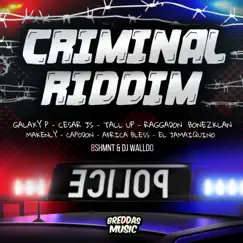 Criminal Riddim by Various Artists album reviews, ratings, credits