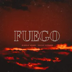 FUEGO (feat. Teejay Sandhu) - Single by Harjot Sidhu album reviews, ratings, credits