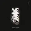 Dark Room - Single album lyrics, reviews, download