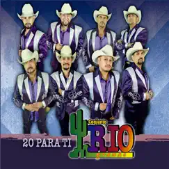 20 para Ti by Conjunto Rio Grande album reviews, ratings, credits