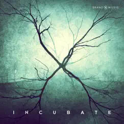 Incubate by Brand X Music album reviews, ratings, credits