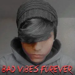 Bad Vibes Forever - Single by Honey album reviews, ratings, credits