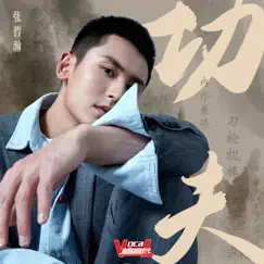 功夫 - Single by Zhang Zhe Han album reviews, ratings, credits