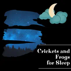 Crickets and Frogs for Sleep Song Lyrics