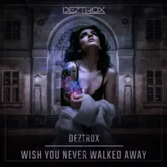 Wish You Never Walked Away (Radio Edit) Song Lyrics