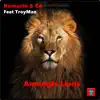 Amongts Lions song lyrics
