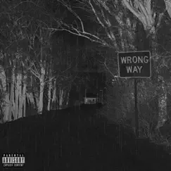 WRONG WAY (feat. Varga$) - Single by A PLAT album reviews, ratings, credits