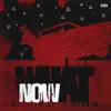 WHAT NOW? - Single album lyrics, reviews, download