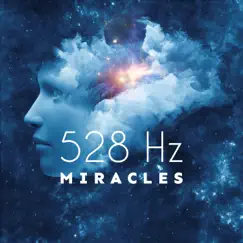 Solfeggio Frequencies: 528 Hz (feat. Meditation Music Zone) Song Lyrics