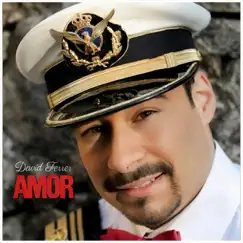 Amor - Single by David Ferrer album reviews, ratings, credits