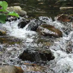Gentle Water Stream Song Lyrics