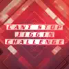 Can't Stop Jiggin (Dance Challenge) - Single album lyrics, reviews, download