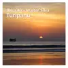 Turipanu - Single album lyrics, reviews, download