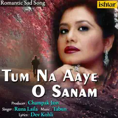 Tum Na Aaye O Sanam - Single by Runa Laila album reviews, ratings, credits
