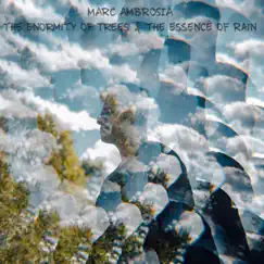 The Enormity of Trees and the Essence of Rain - EP by Marc Ambrosia album reviews, ratings, credits