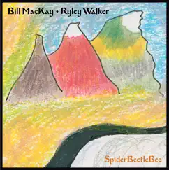 SpiderBeetleBee by Bill MacKay & Ryley Walker album reviews, ratings, credits