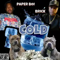 Cold (feat. Brick) - Single by Paper Boi album reviews, ratings, credits
