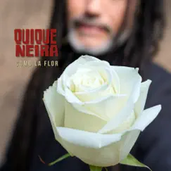 Como la Flor - Single by Quique Neira album reviews, ratings, credits