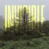The Invisible EP album lyrics, reviews, download