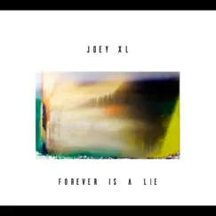 Forever Is a Lie - Single by Joey XL album reviews, ratings, credits