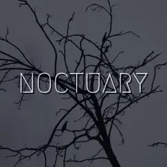 Joy Ride - Single by Noctuary album reviews, ratings, credits