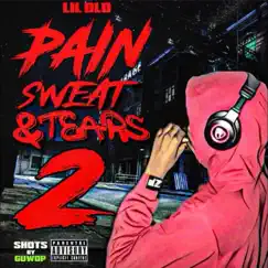 Pain, Sweat & Tears 2 by Lil Dlo album reviews, ratings, credits