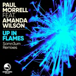 Up in Flames (feat. Amanda Wilson) [Somn3um Extended Remix] Song Lyrics