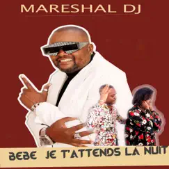 Bébé je t'attends la nuit - Single by Mareshal DJ album reviews, ratings, credits