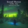 Celtic Airs: Traditional Celtic Harp album lyrics, reviews, download