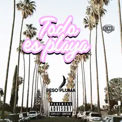 Todo Es Playa - Single by Peso Pluma album reviews, ratings, credits