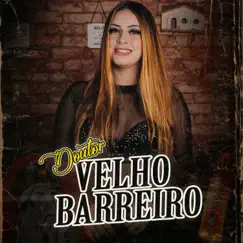 Doutor Velho Barreiro Song Lyrics