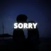 Sorry song lyrics