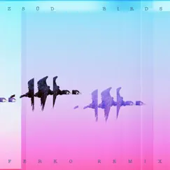 Birds (Ferko Remix) - Single by Zsüd & Ferko album reviews, ratings, credits