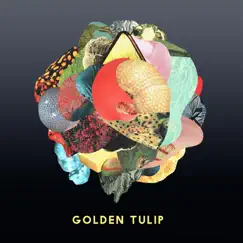 Golden Tulip - Single by Huntertones album reviews, ratings, credits