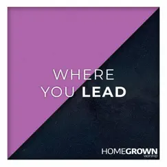 Where You Lead - Single by Homegrown Worship album reviews, ratings, credits